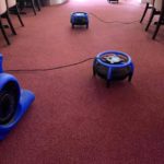 Hemmings Carpet and Oven Cleaning - Restaurant Carpet Clean